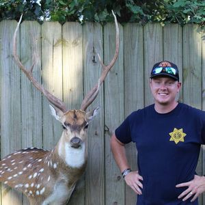 Meet your Posher, Chase